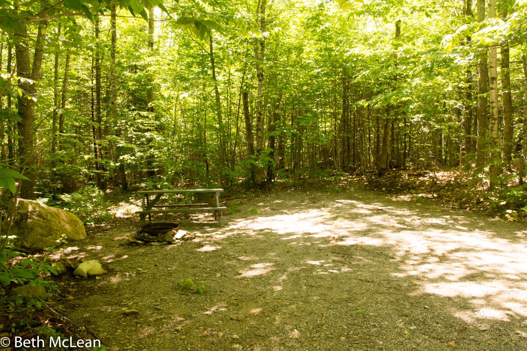 Secluded wilderness tent site in the woods
